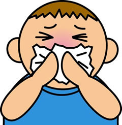 鼻炎（びえん）（花粉症・アレルギー）／蓄膿（ちくのう）